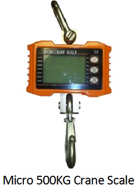 micro 500kg crane scale